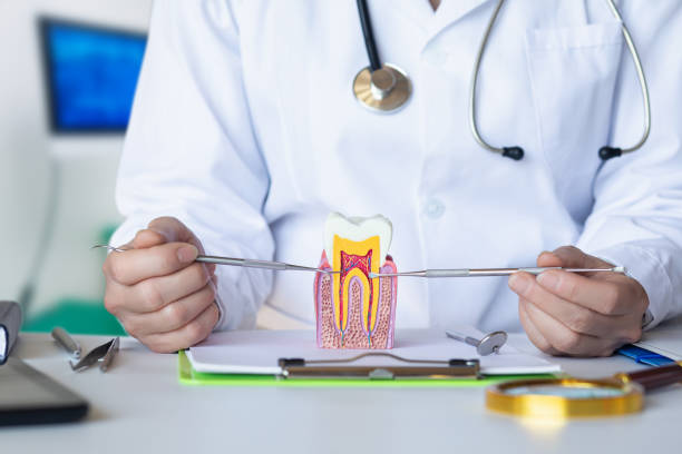Best Walk-In Emergency Dentist in Belvedere, CA